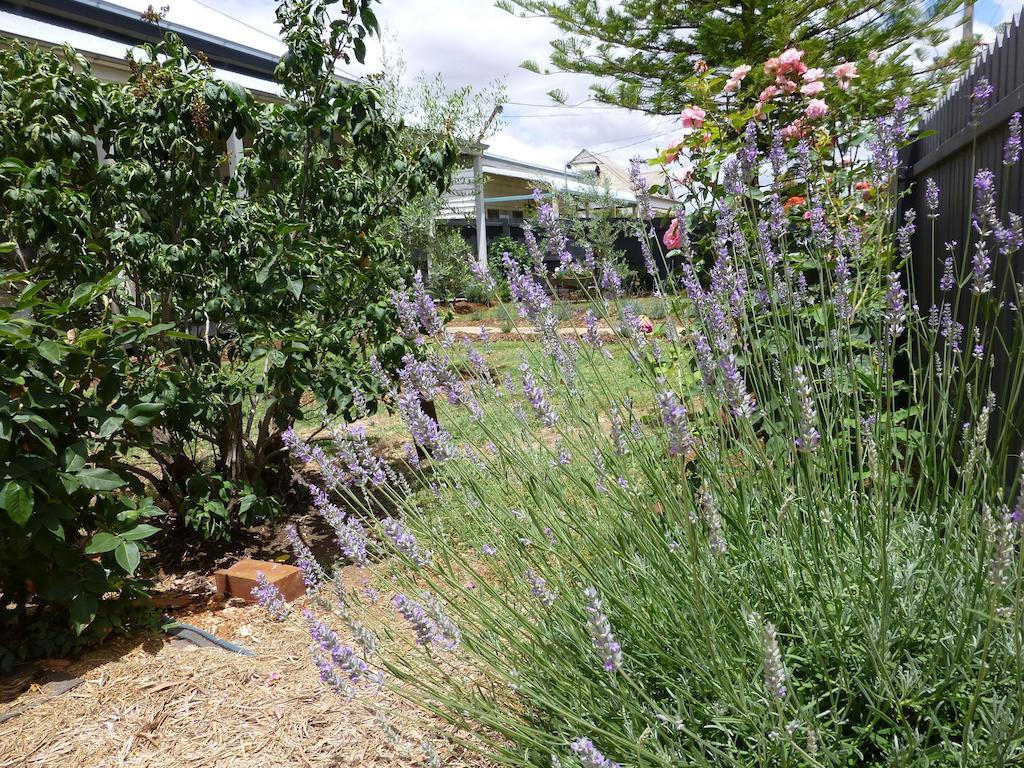 La Maison St Arnaud Rutherglen Bagian luar foto