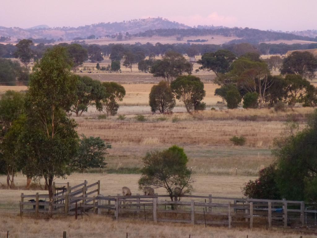 La Maison St Arnaud Rutherglen Bagian luar foto