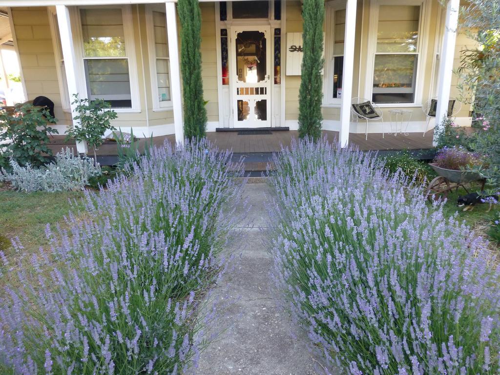 La Maison St Arnaud Rutherglen Bagian luar foto